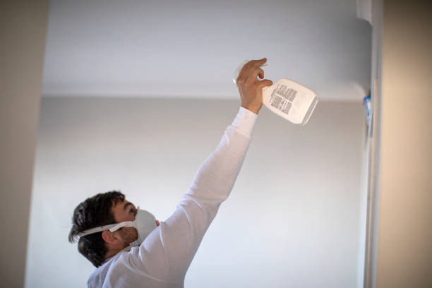 Best Residential Mold Removal  in Lake Placid, FL